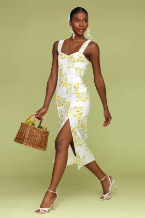 Lemon Printed Cotton Sheath Dress