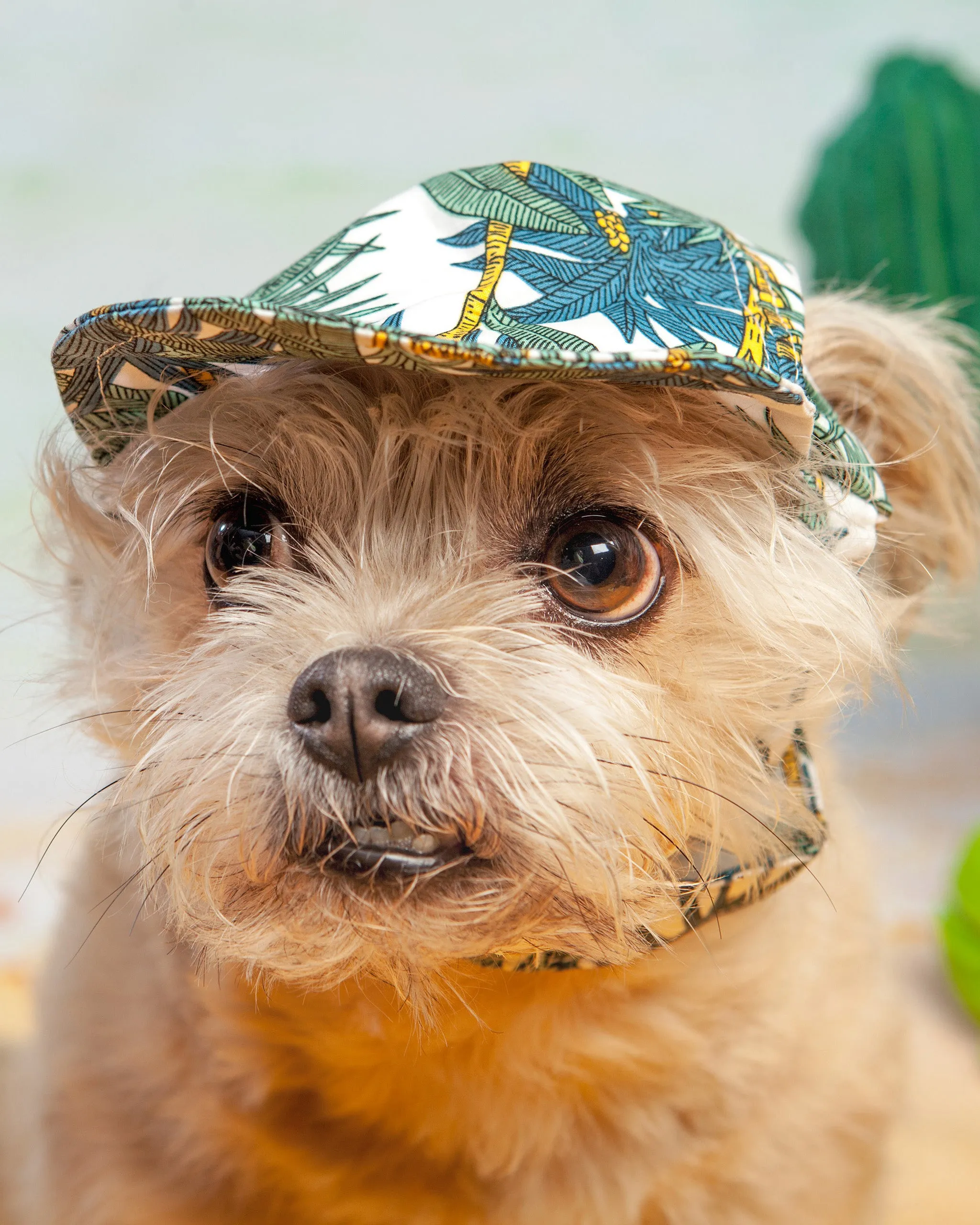 Tropical Leaf Hat (FINAL SALE)